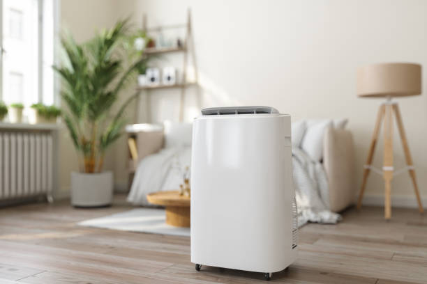 Best HVAC Tune-Up Services  in Chena Ridge, AK